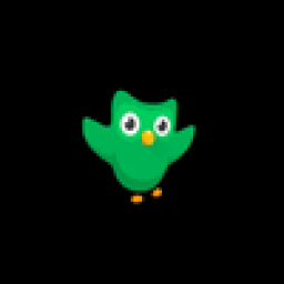 Duolingo Super 12 Ay Kategorisi